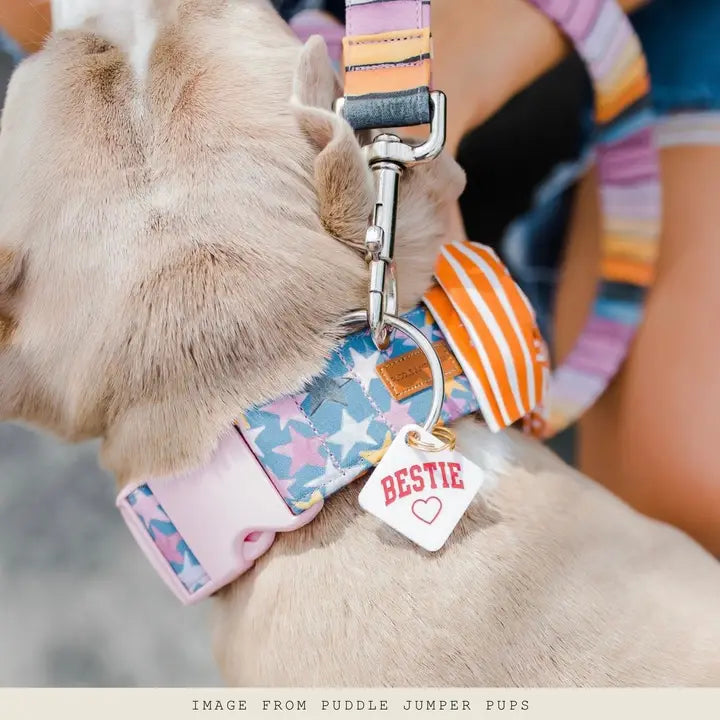 Dog Tags
