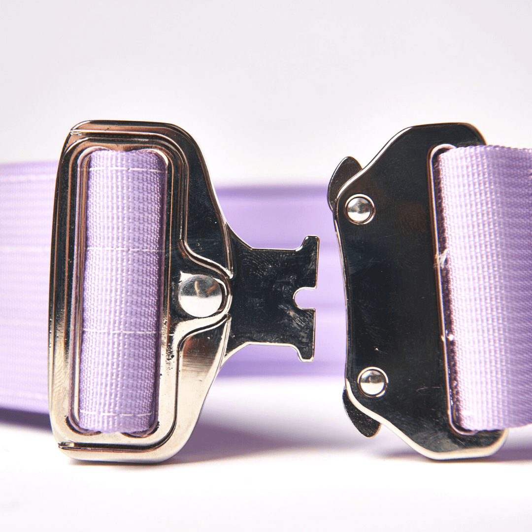 Tactical Dog Collar - Lilac (2"/5cm)