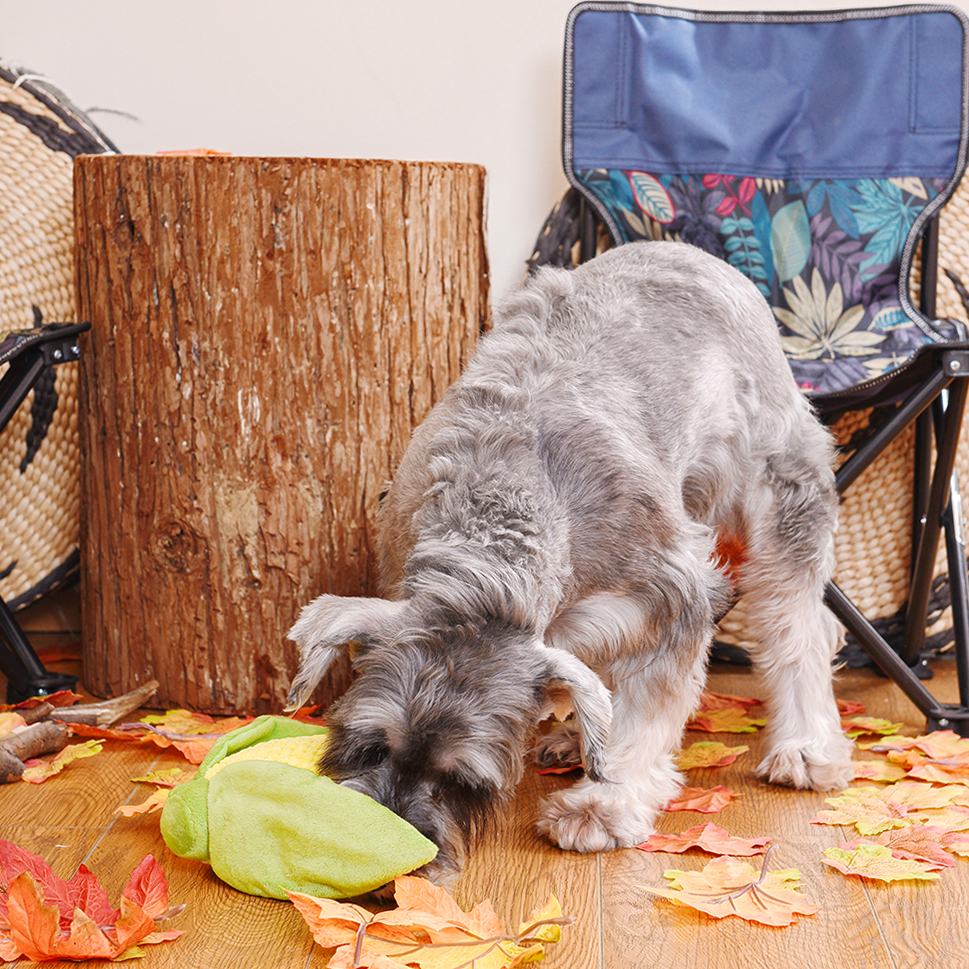 HugSmart Pet - Camping Pups | Corn - Dog Plush Toy