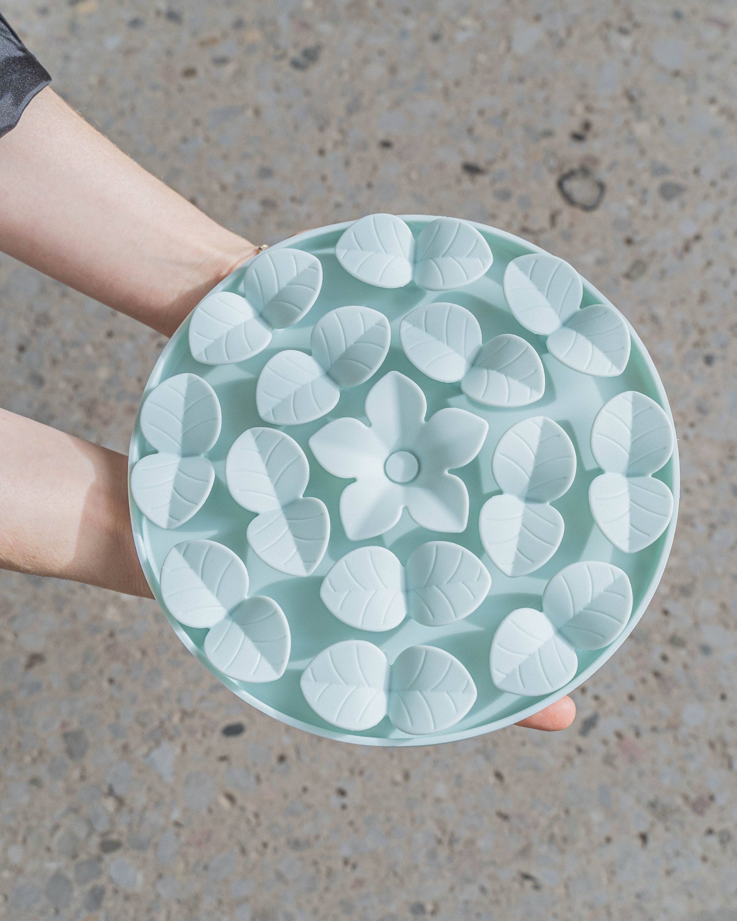 Sky Blue Circle Enrichment Snuffle Mat