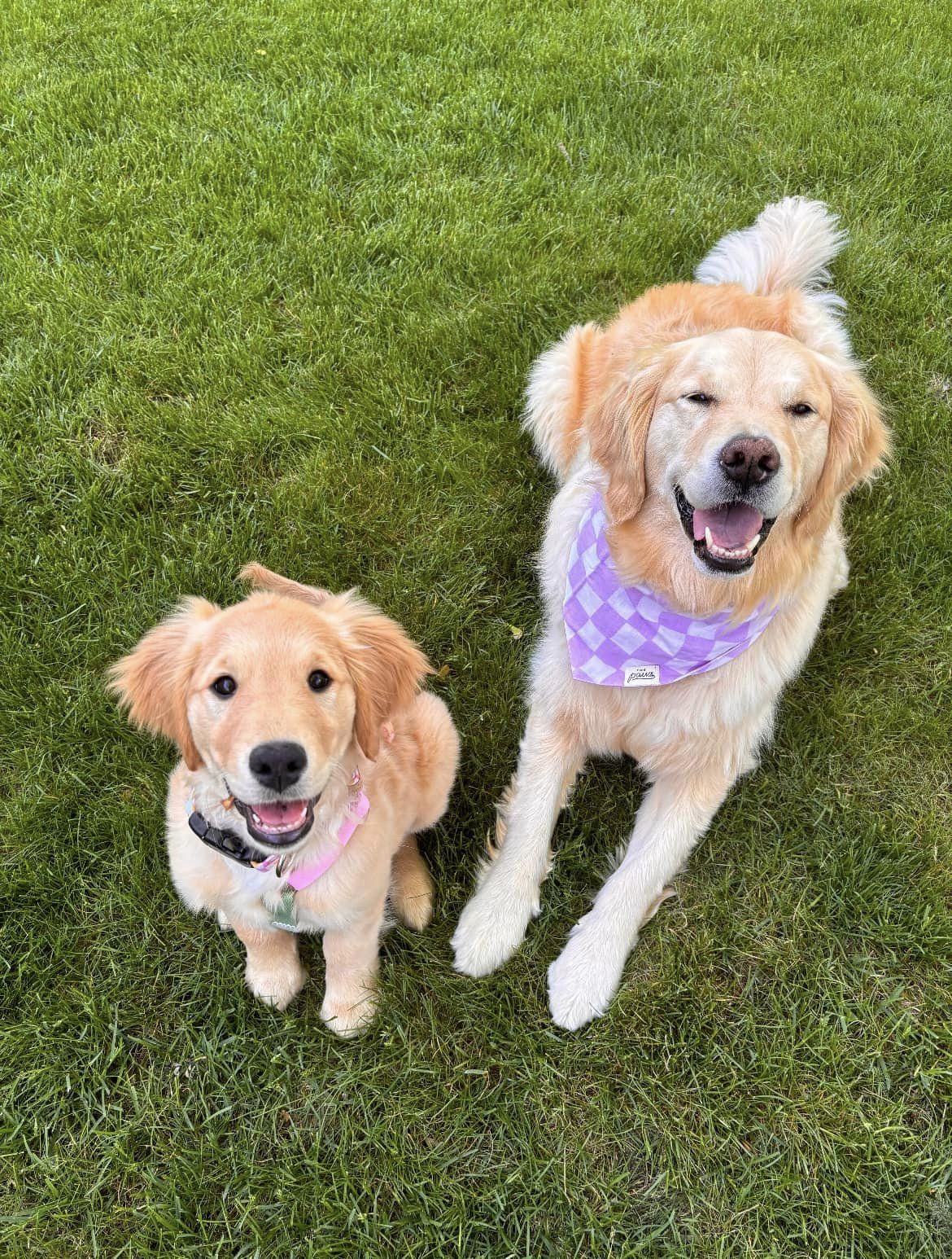 Bandanas