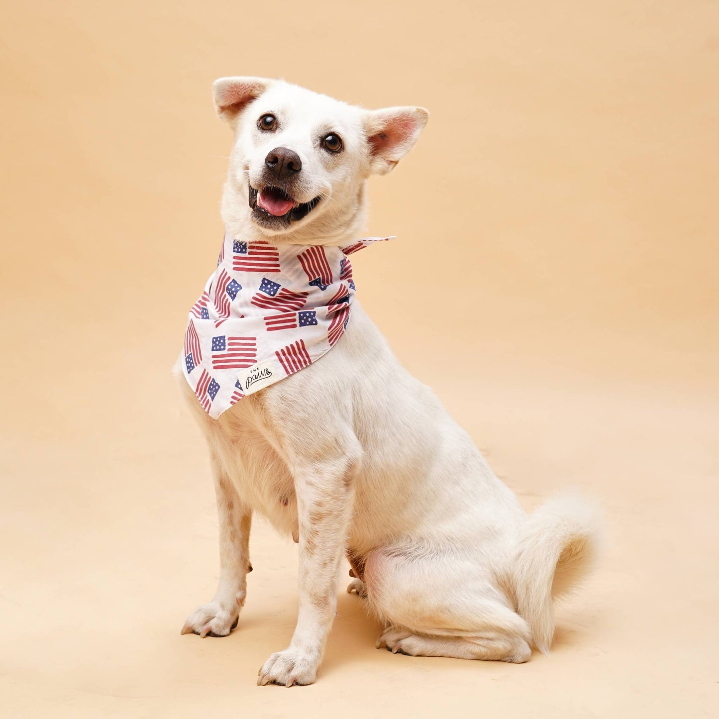 Patriotic Flag Dog Bandana