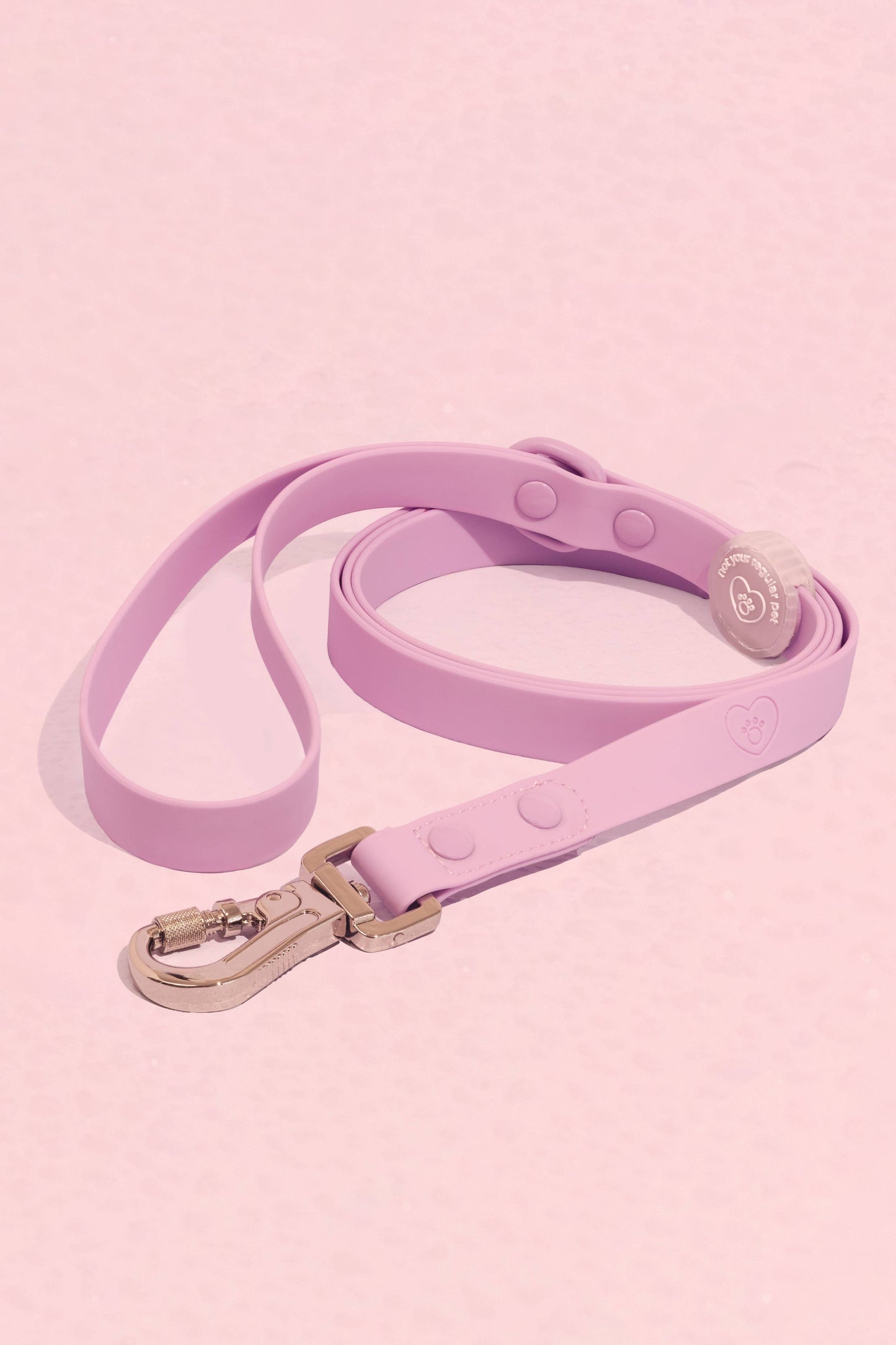 Violet Waterproof Leash