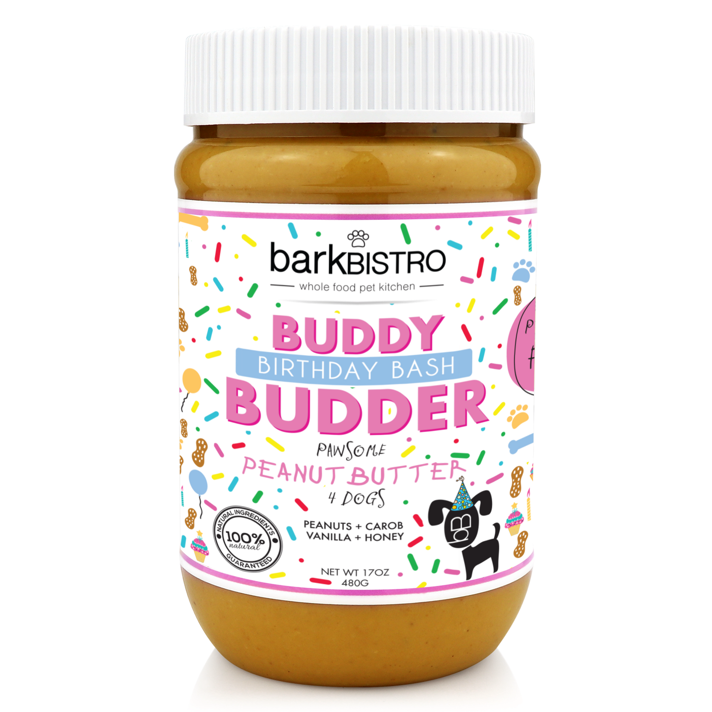 Buddy Budder: Birthday Bash