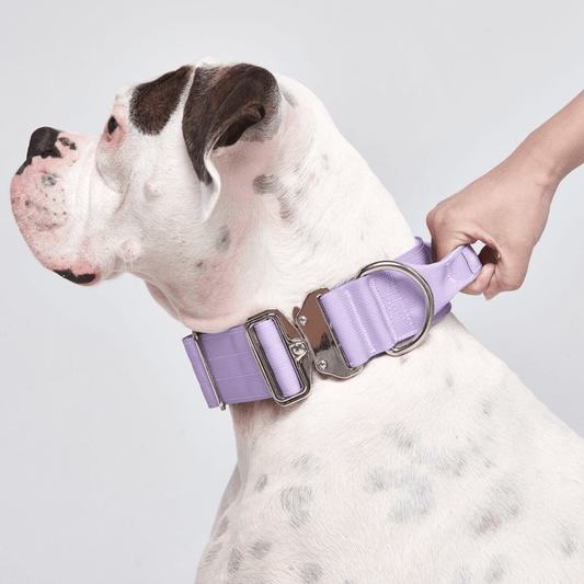 Tactical Dog Collar - Lilac (2"/5cm)