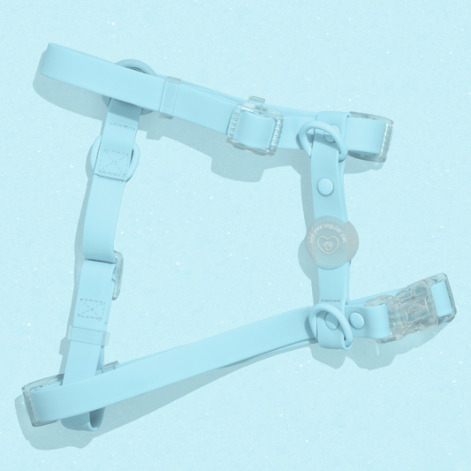 Glacier H-Strap Waterproof Harness