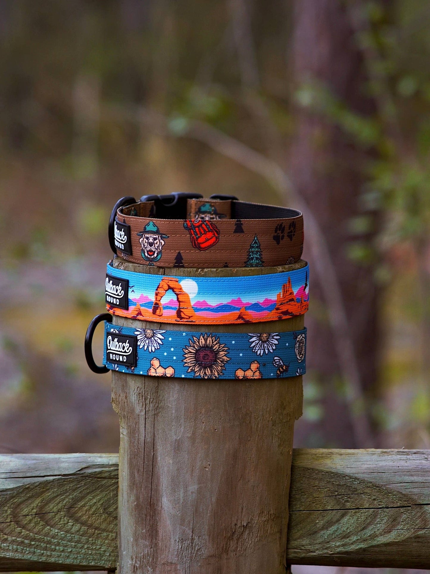 Bees Knees Teal Dog Collar