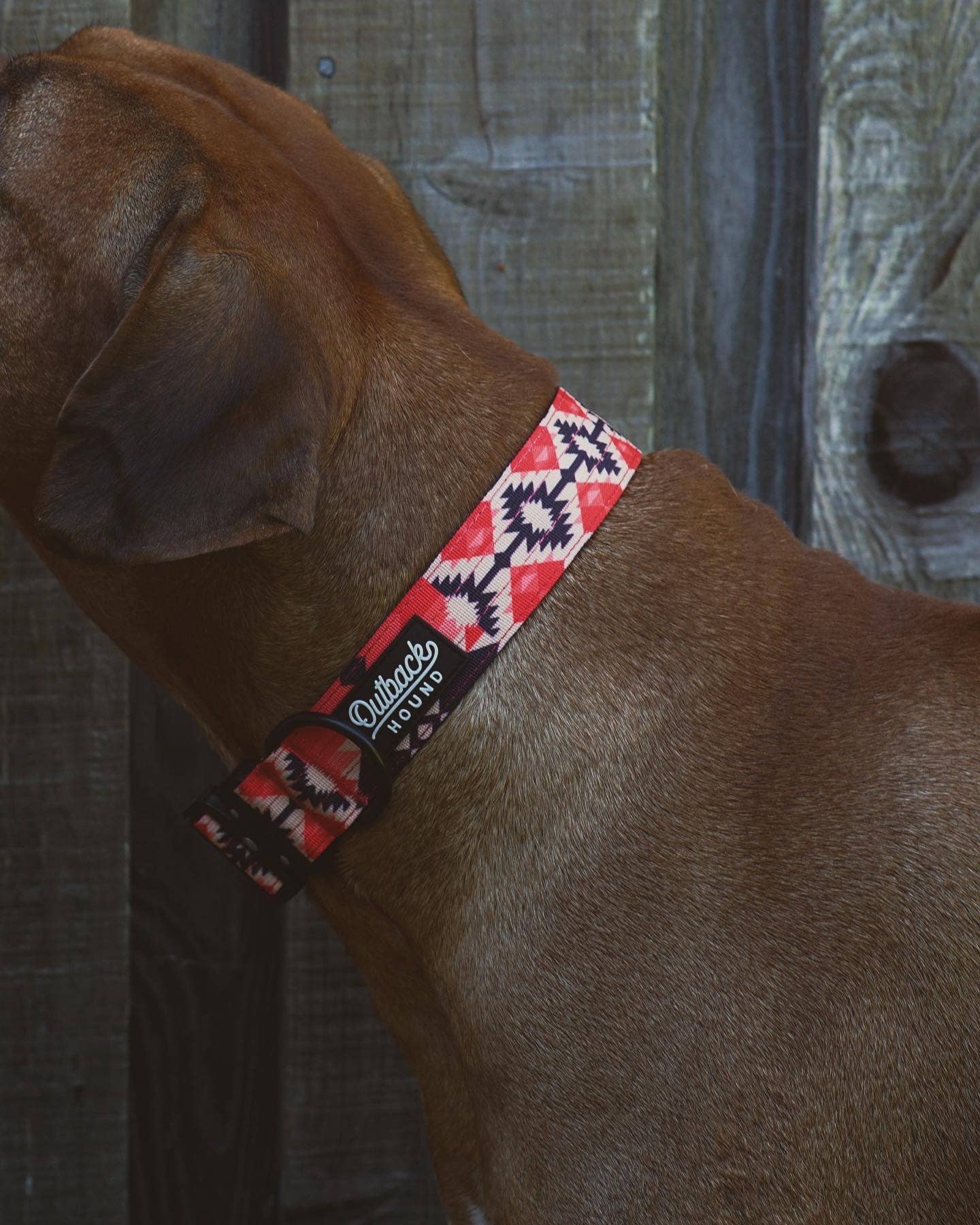 Aztec Dog Collar