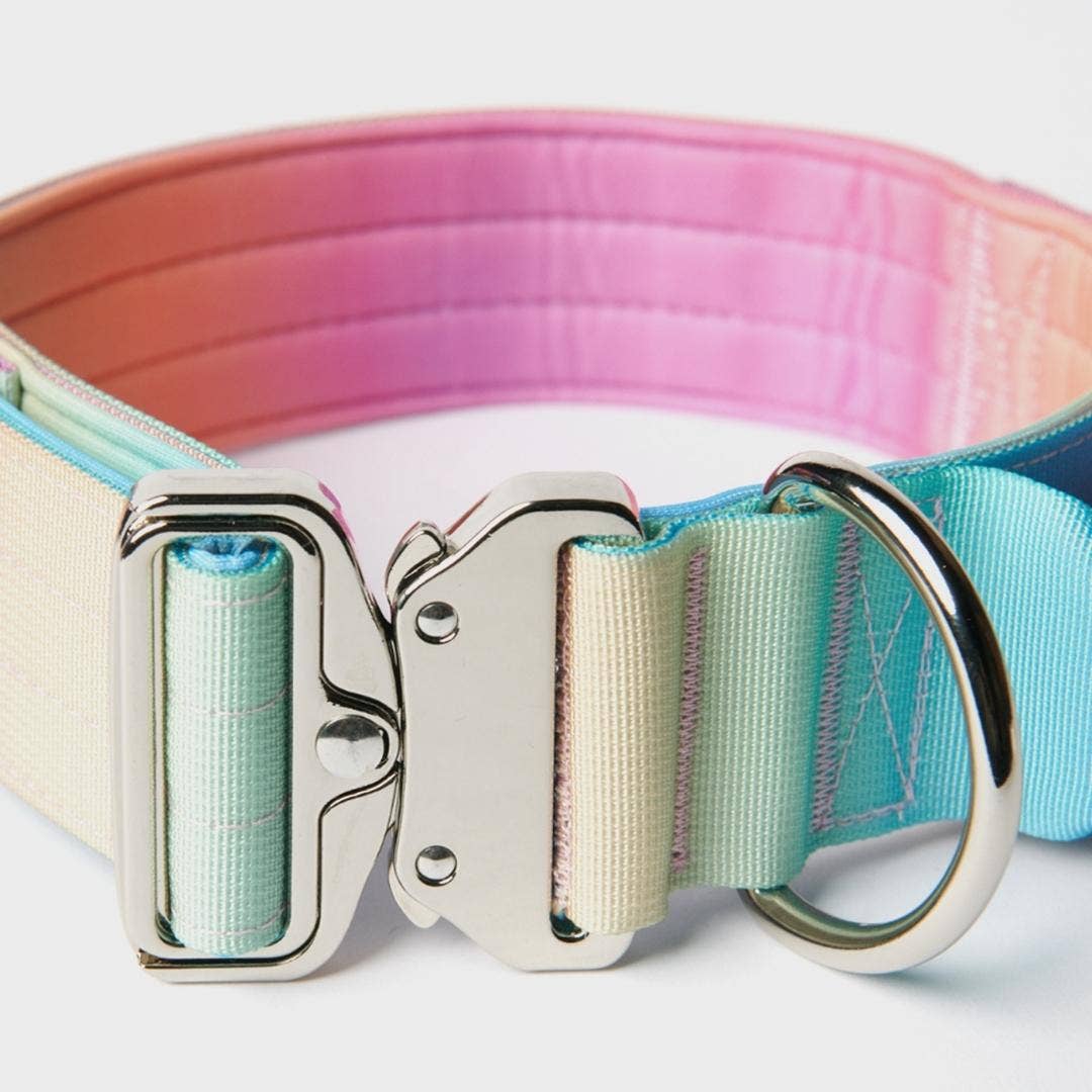 Tactical Dog Collar - Pastel Icing (2"/5cm)