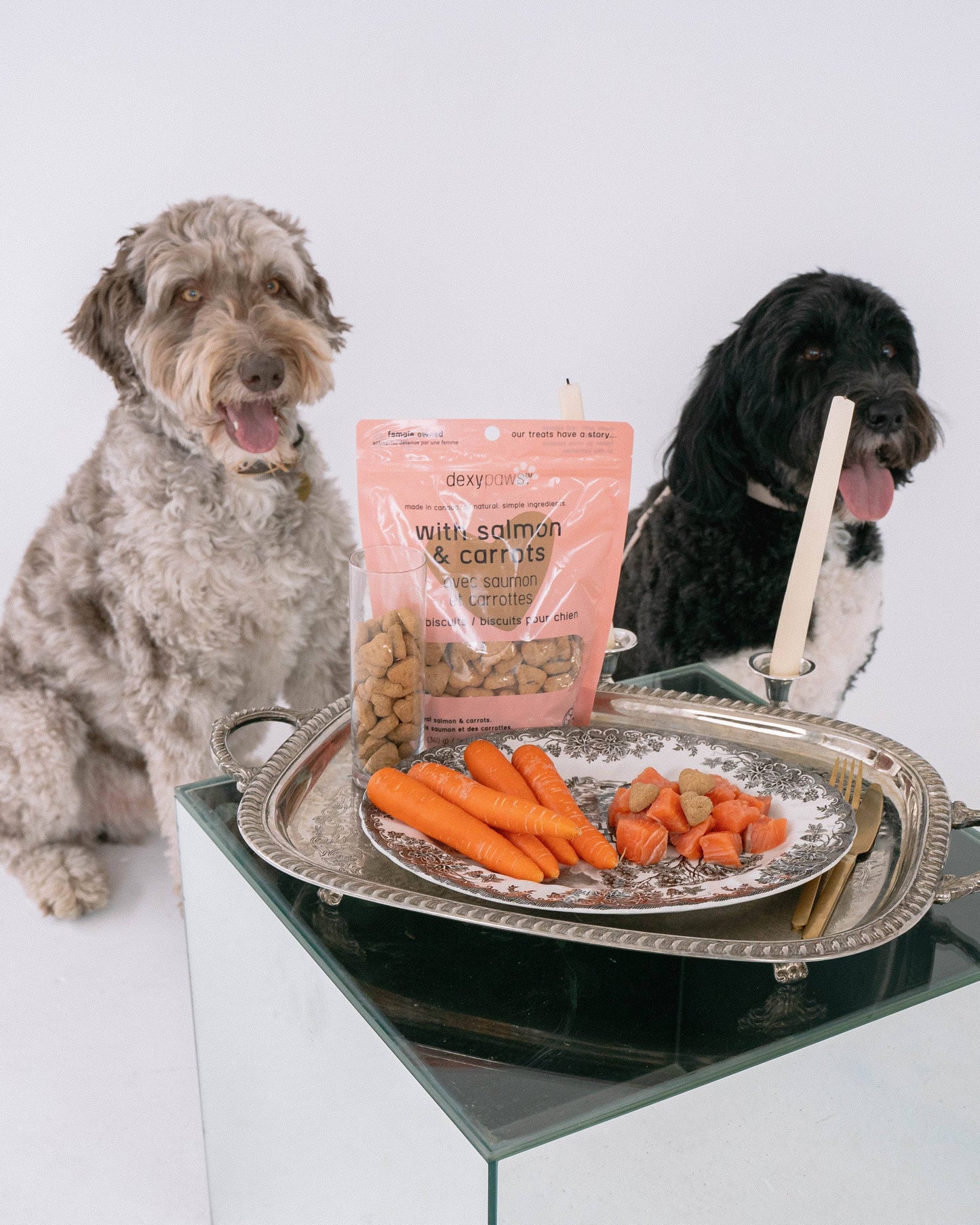 Salmon Dog Treats