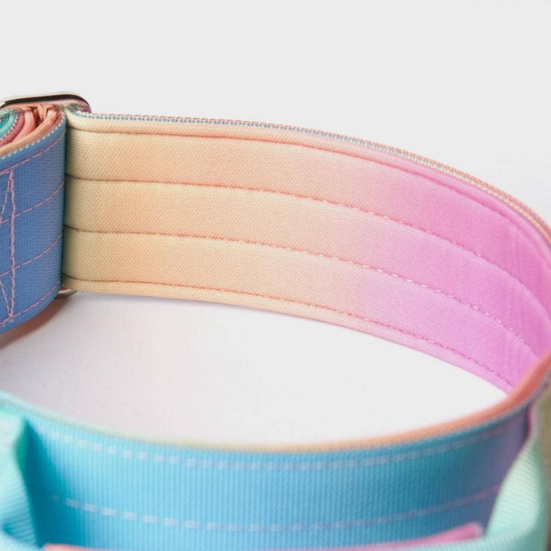 Tactical Dog Collar - Pastel Icing (2"/5cm)