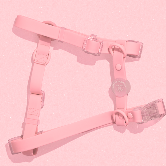 Cotton Candy H-Strap Waterproof Harness