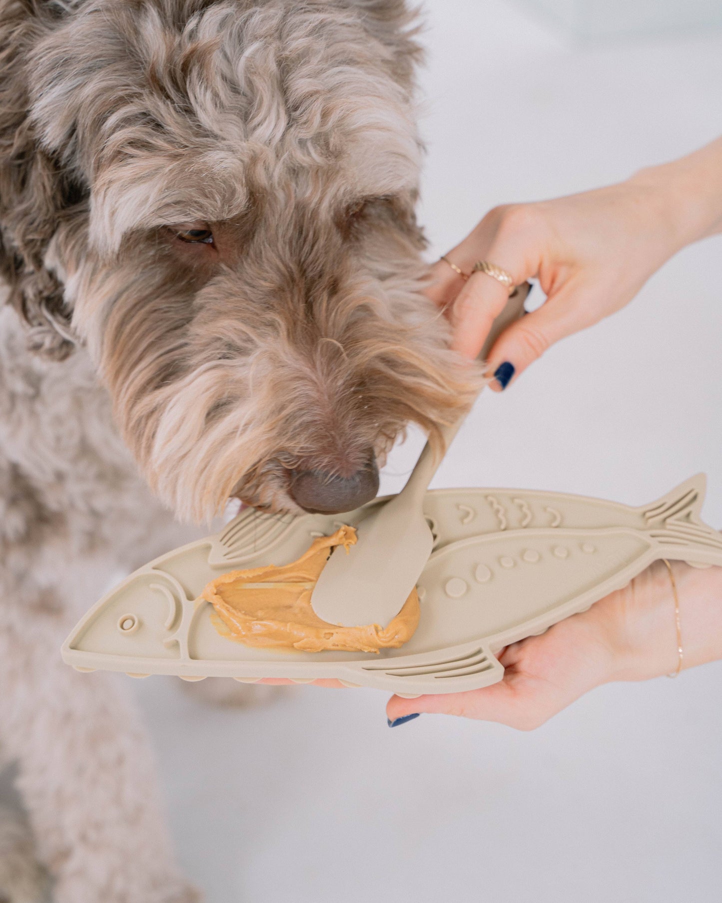 Camping Edition: Fish Enrichment Lick Mat with Spatula Set