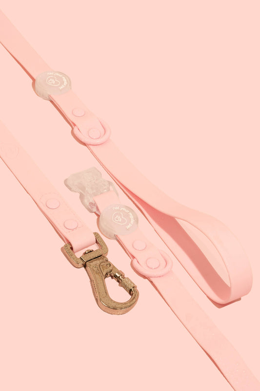 Cotton Candy Waterproof Leash