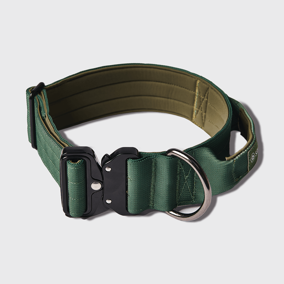 Tactical Dog Collar - Army Green (2"/5cm)