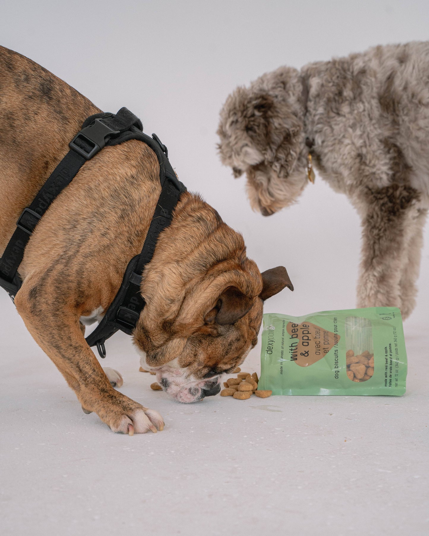 Beef & Apple Dog Treats