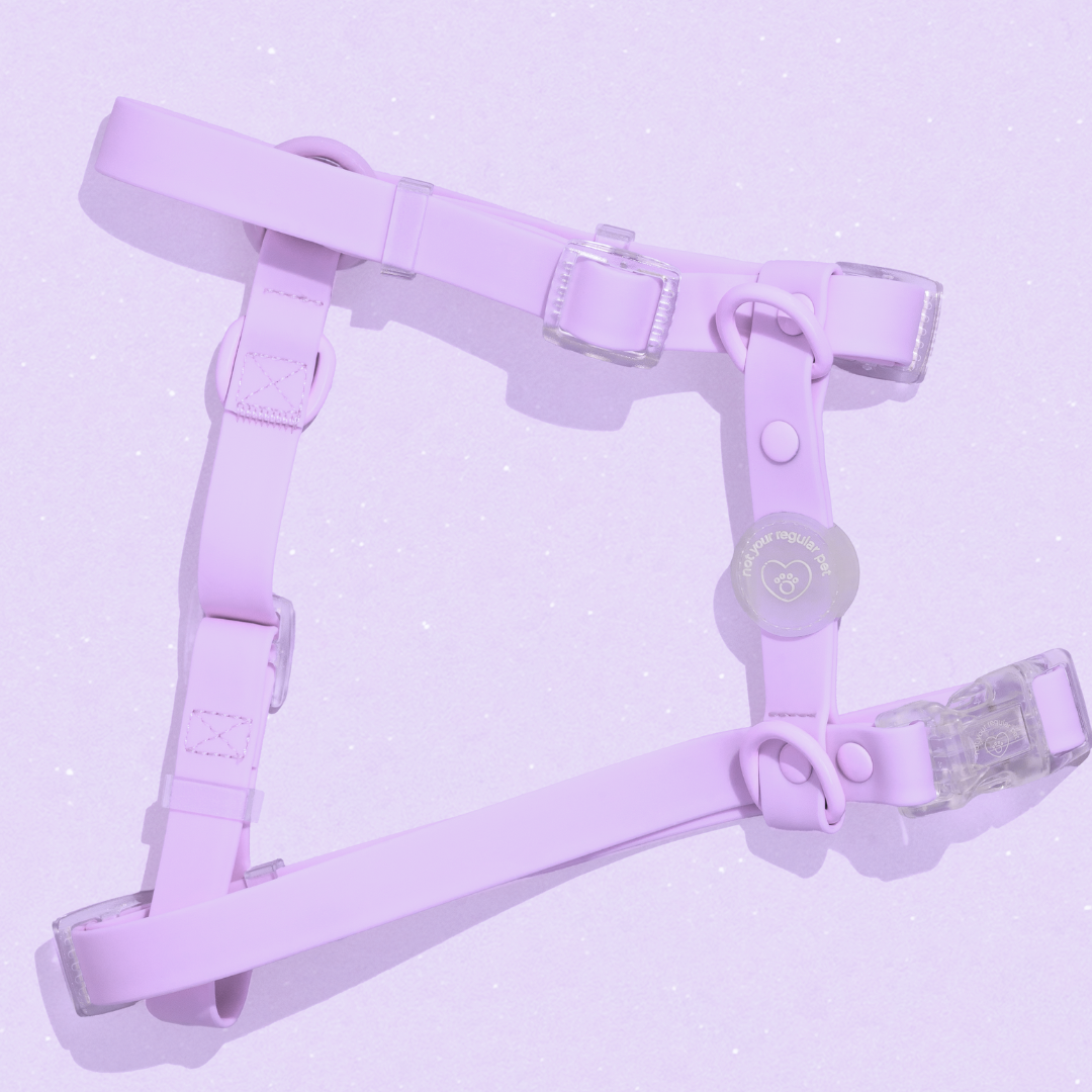 Violet H-Strap Waterproof Harness