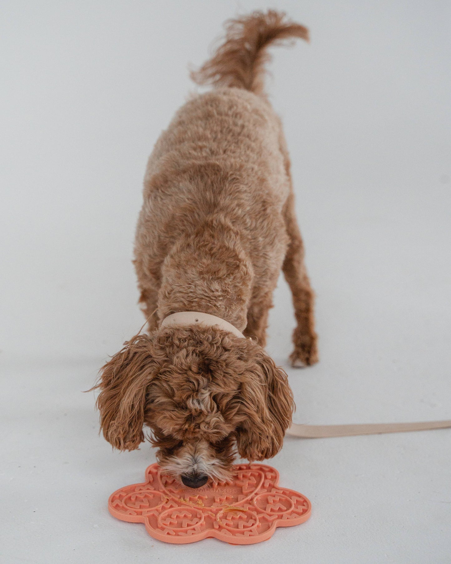 Coral Paw Print Enrichment Lick Mat