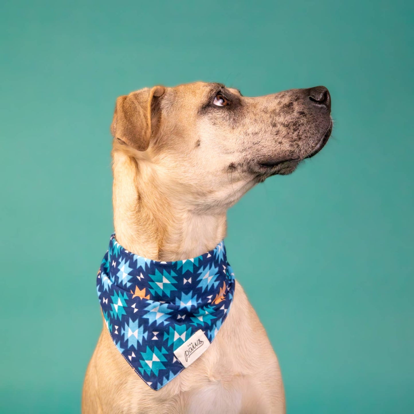 Urban Rez Dog Bandana