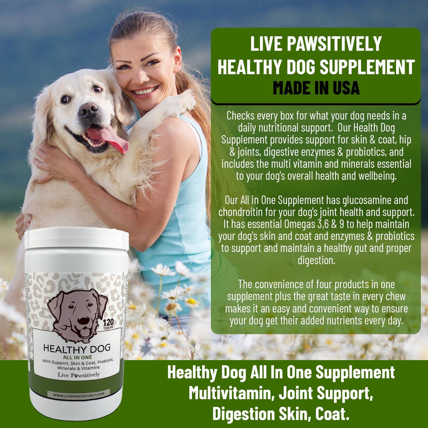 Healthy Dog All in one Supplement dog chew, made in USA