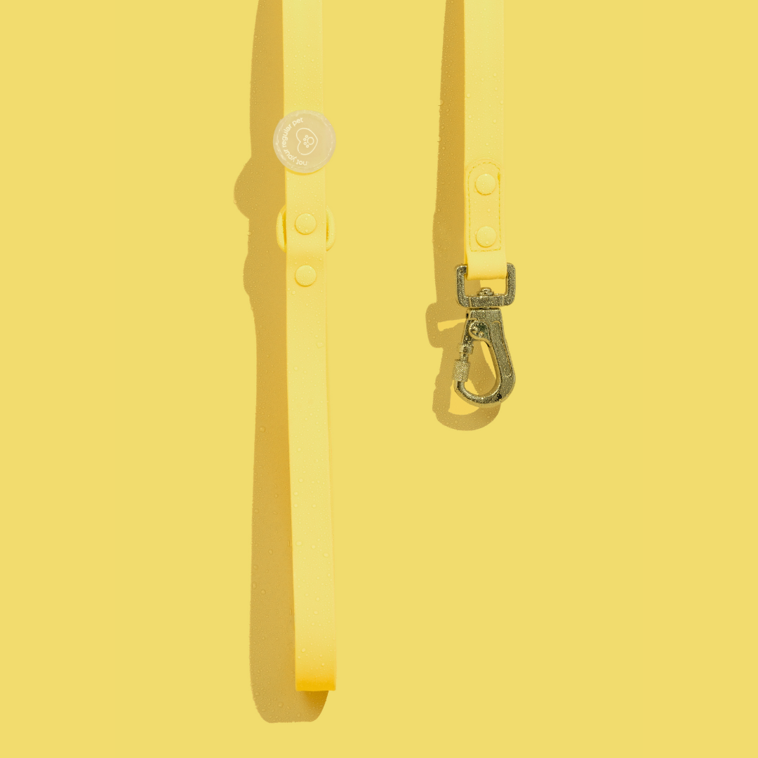 Limoncello Waterproof Leash