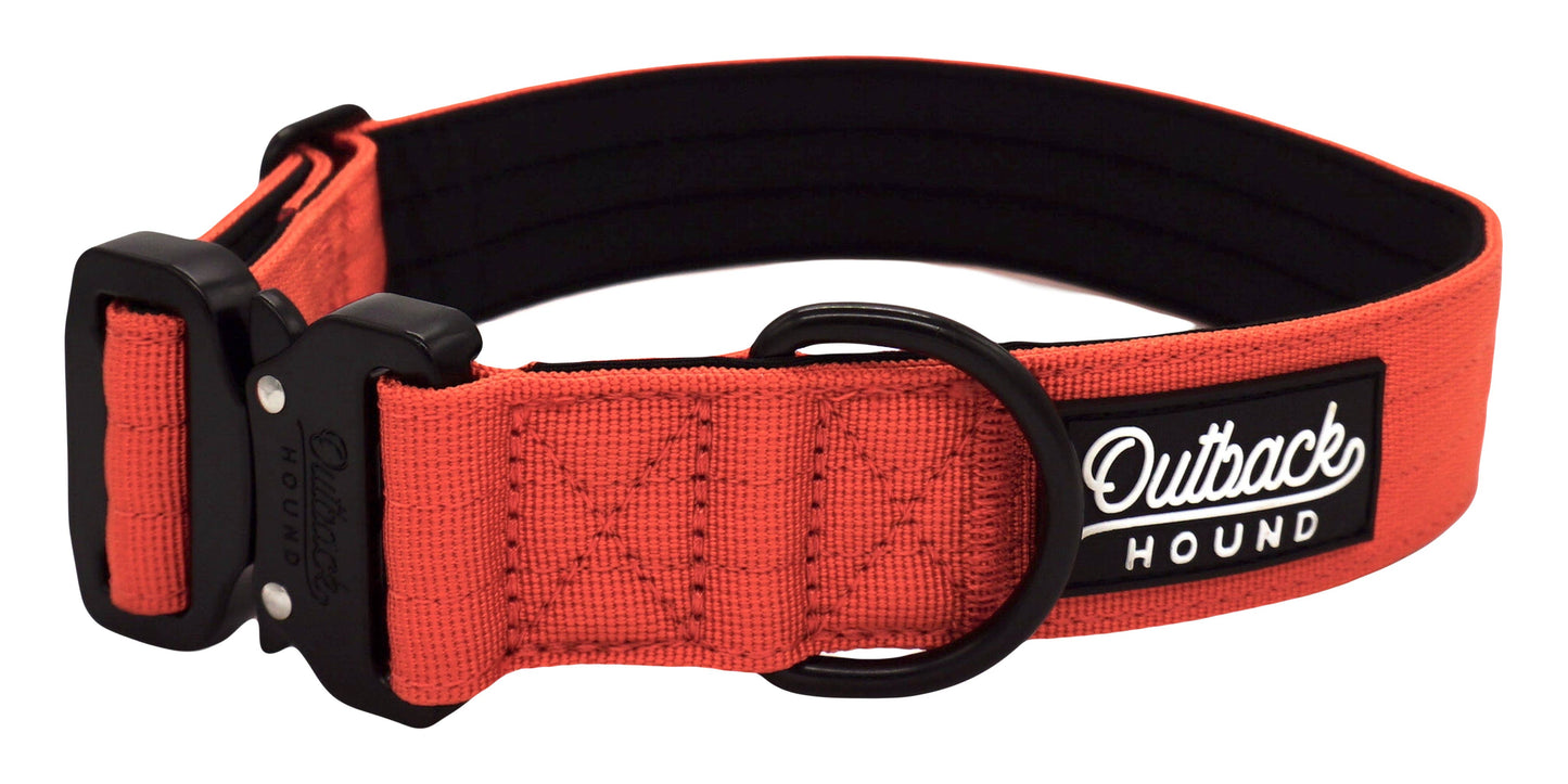 Burnt Orange Premium Dog Collar