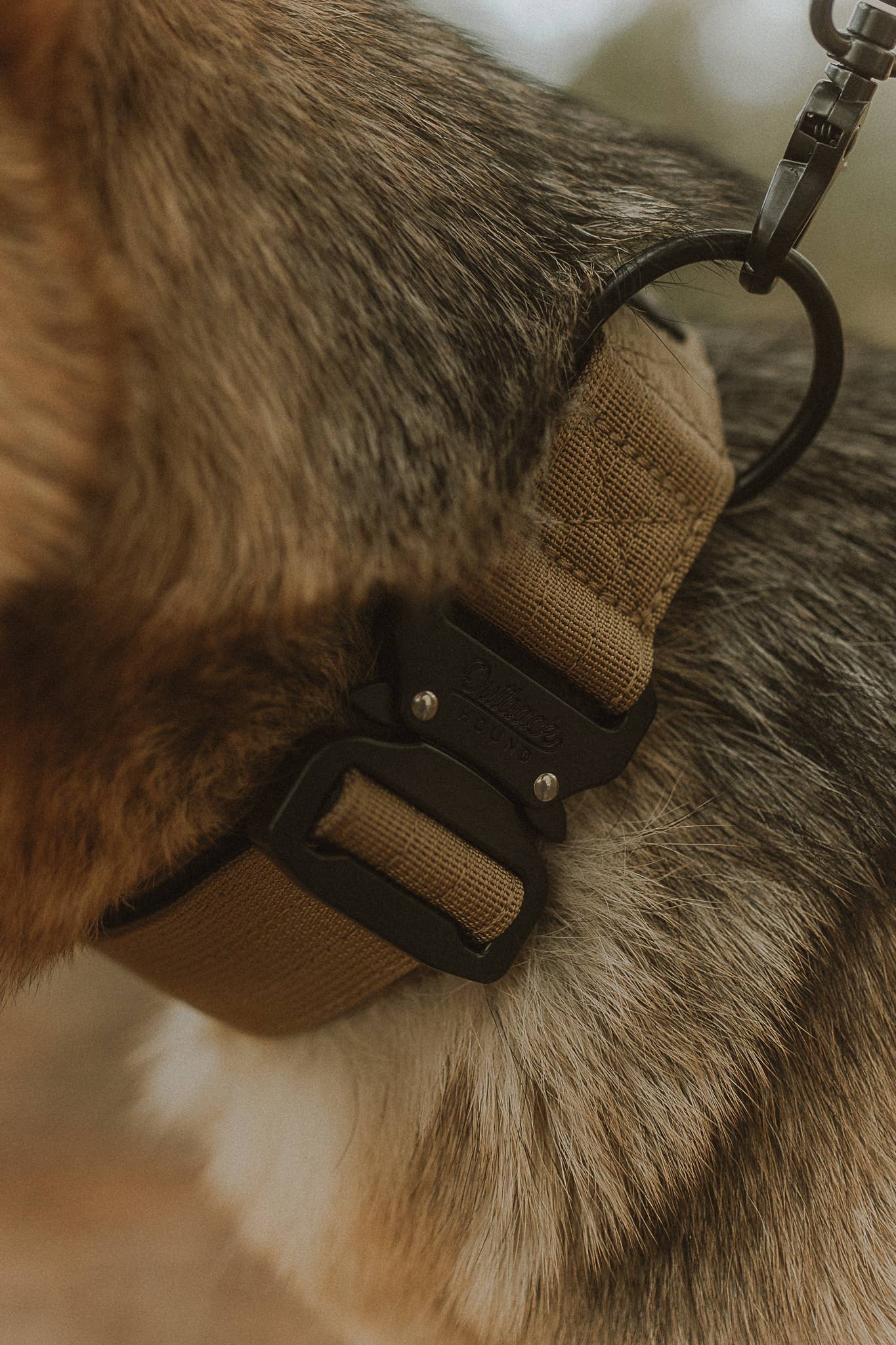 Tan Premium Dog Collar