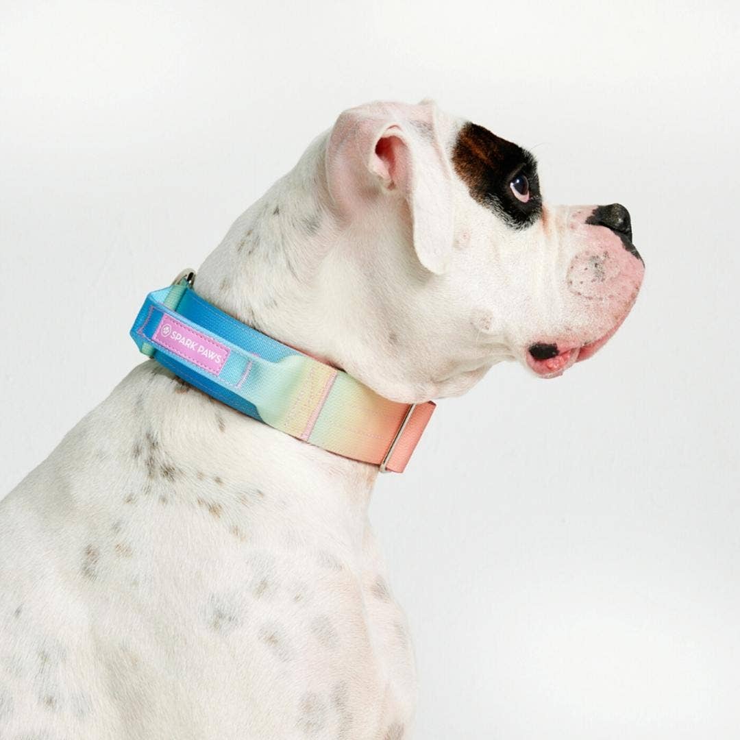 Tactical Dog Collar - Pastel Icing (2"/5cm)