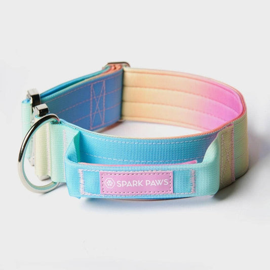 Tactical Dog Collar - Pastel Icing (2"/5cm)