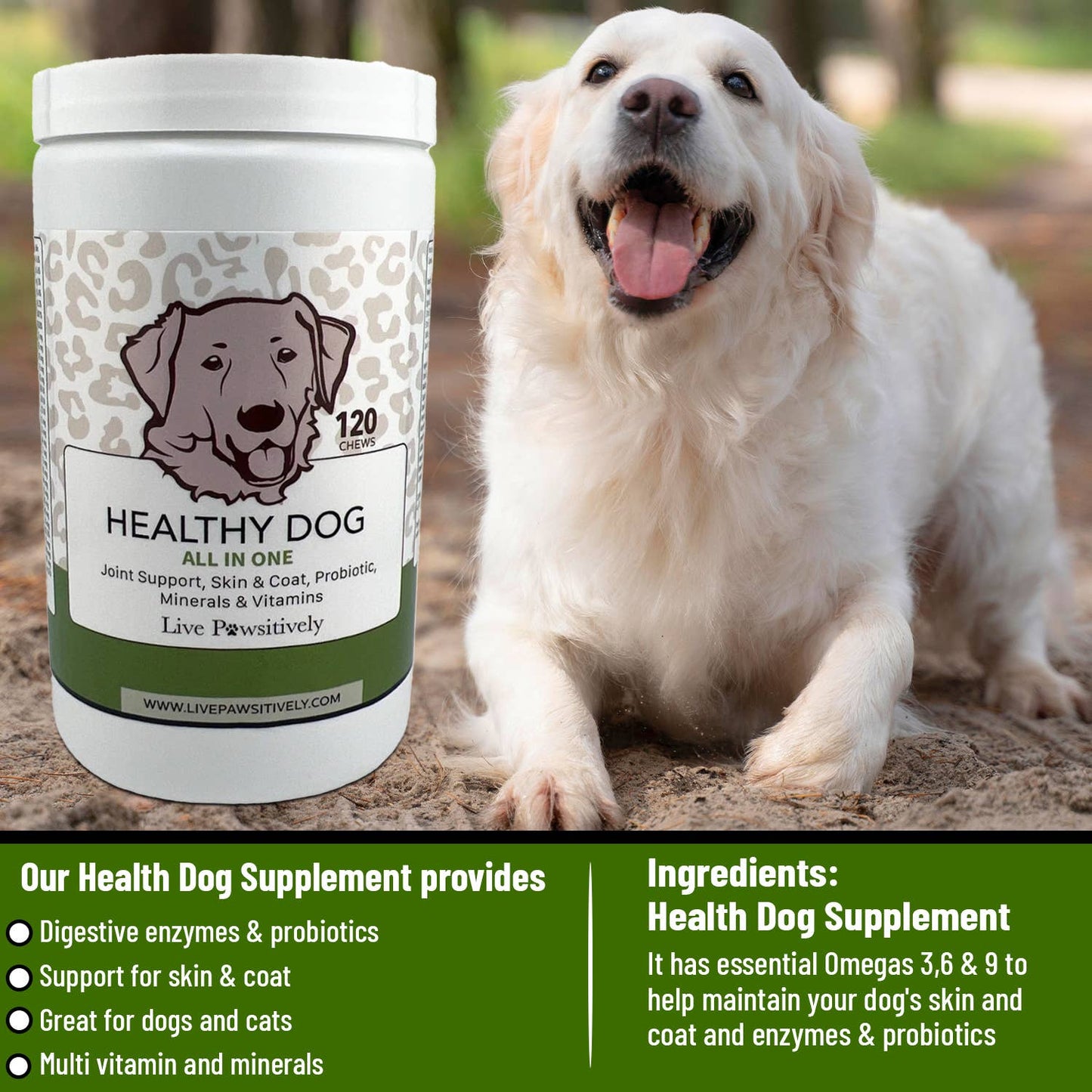 Healthy Dog All in one Supplement dog chew, made in USA