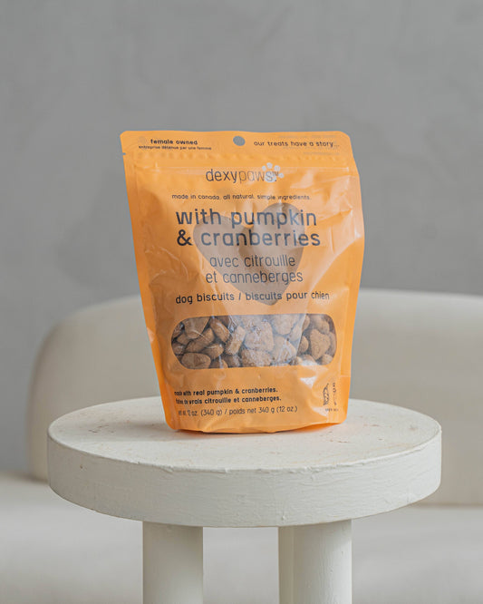 Pumpkin Dog Treats