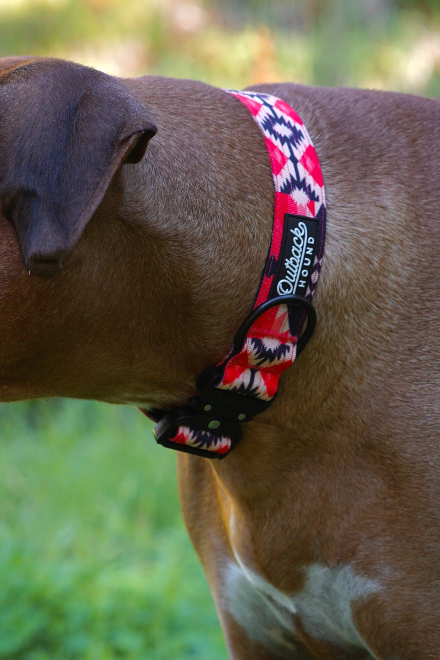 Aztec Dog Collar