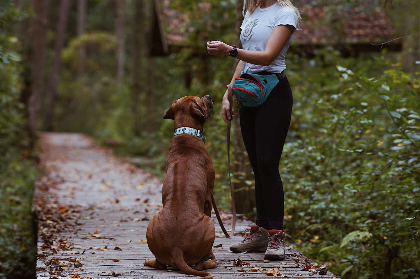 Agave Dog Collar