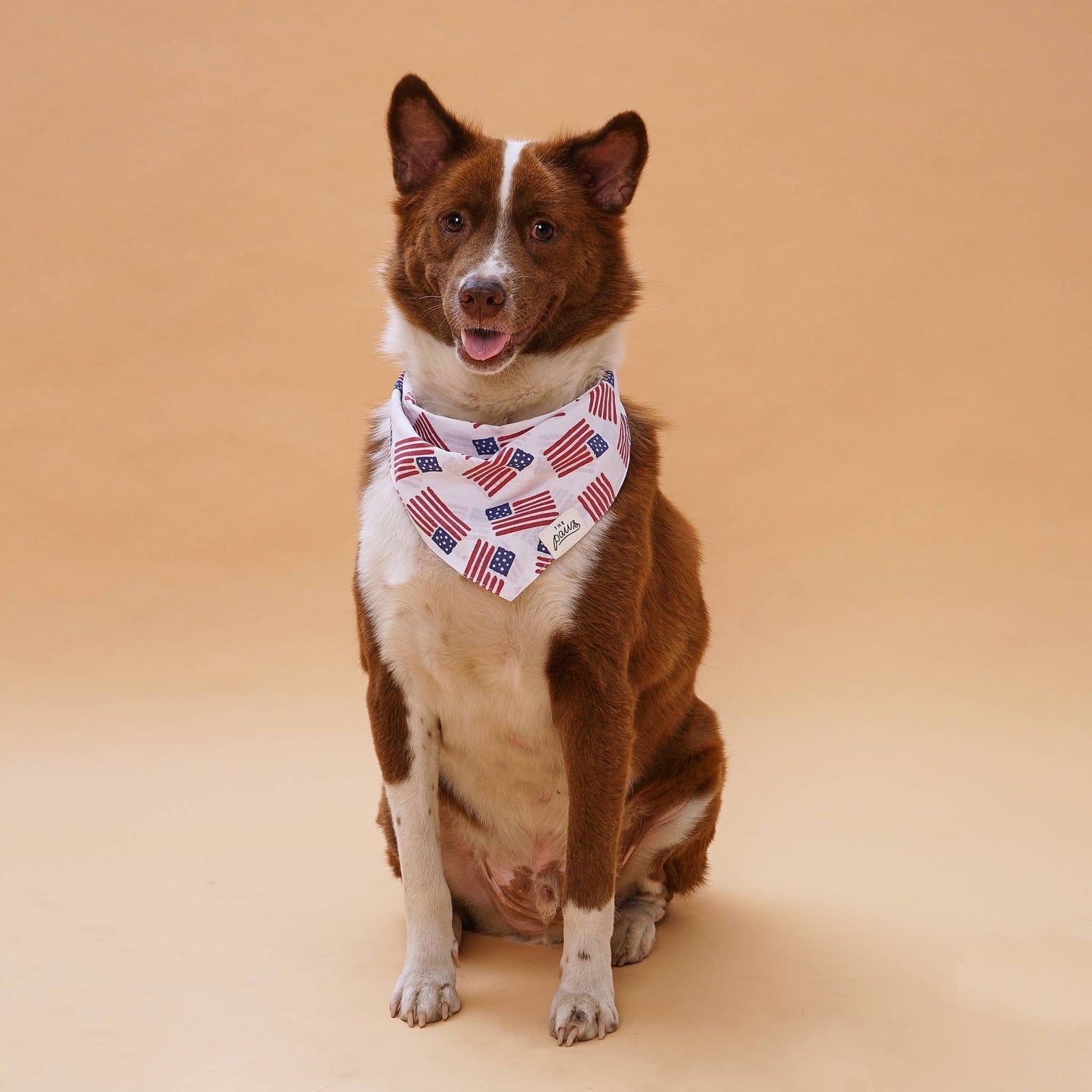 Patriotic Flag Dog Bandana