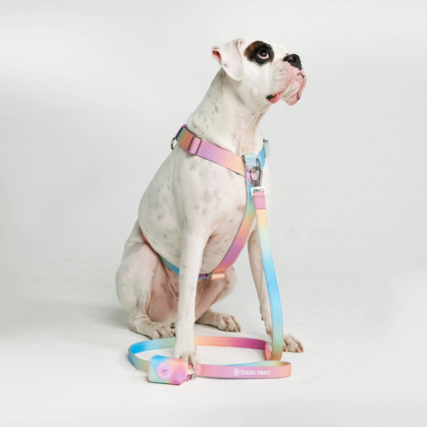 Comfort Control No-Pull Dog Harness - Pastel Icing