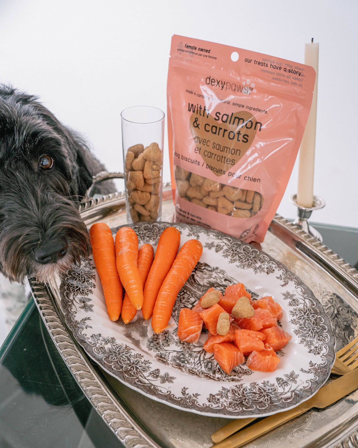 Salmon Dog Treats